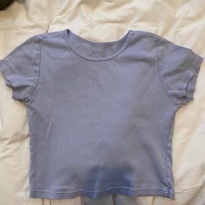Brandy Melville Blue Purple Crop Top